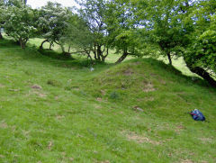 Ty-cae-brith level spoil tip, Cwmfelinfach, May 2009